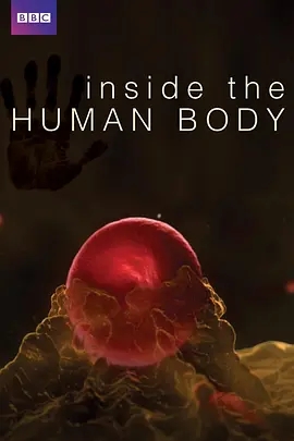 人体奥秘 Inside the Human Body (2011)  高清视频免费在线观看，完整版百度网盘下载 - 吾爱微网