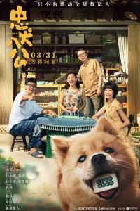 忠犬八公 (2023)  高清视频免费在线观看，完整版百度网盘下载 - 吾爱微网