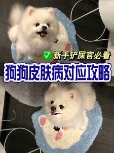 关于皮肤病高发季，如何打好“预防针”？ - 吾爱微网