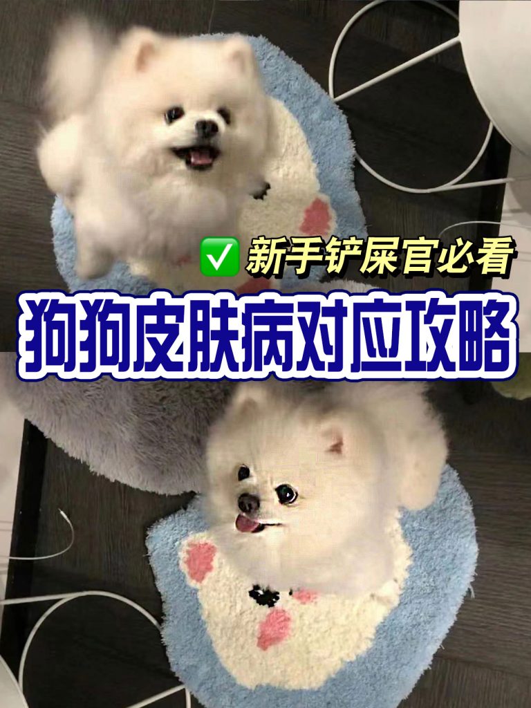 20231007174039630-13341144445859918