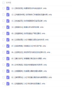 小红书引流特训营-第七期 让小红书变为你无限复制的提款机 低成本引流快速出单 - 吾爱微网